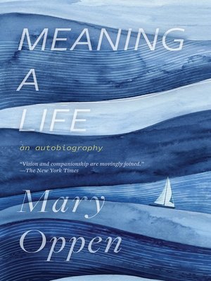 cover image of Meaning a Life